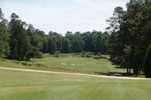 Palmetto 4th